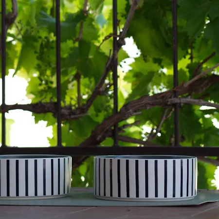 Poli Sterne, Two And Pet Friendly Apartment