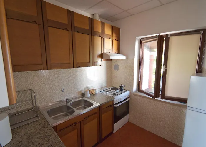 Poli Sterne, For Family And Pet Friendly *