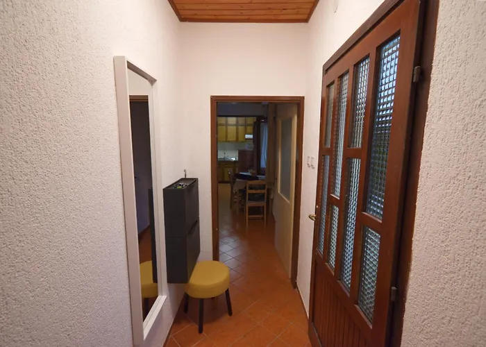 Poli Sterne, For Family And Pet Friendly *