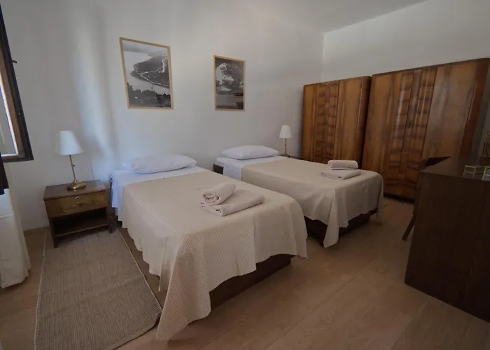 Poli Sterne, For Family And Pet Friendly