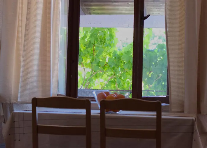 Poli Sterne, For Family And Pet Friendly