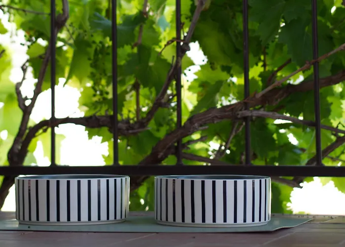 Poli Sterne, For Family And Pet Friendly 아파트