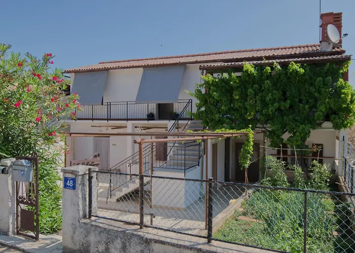 Poli Sterne, For Family And Pet Friendly